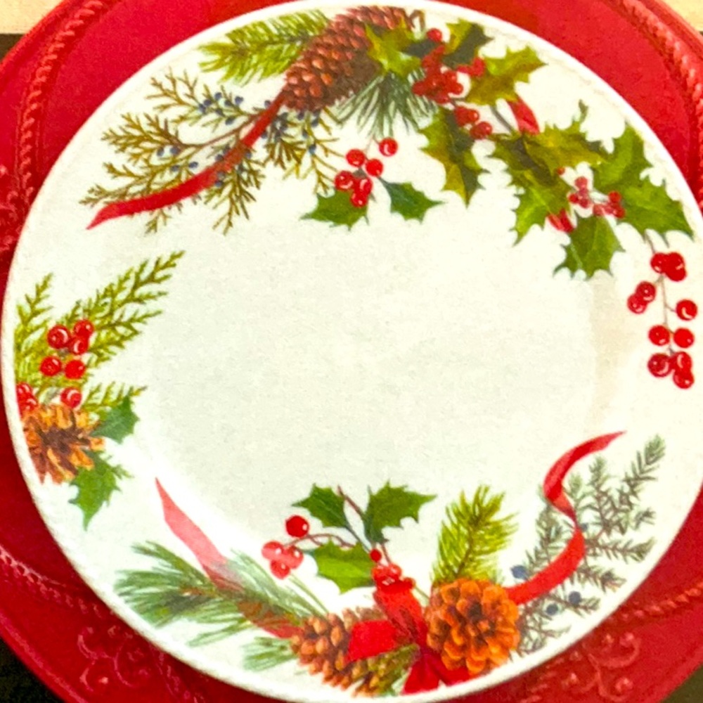 Platos medianos Marbella winter berry